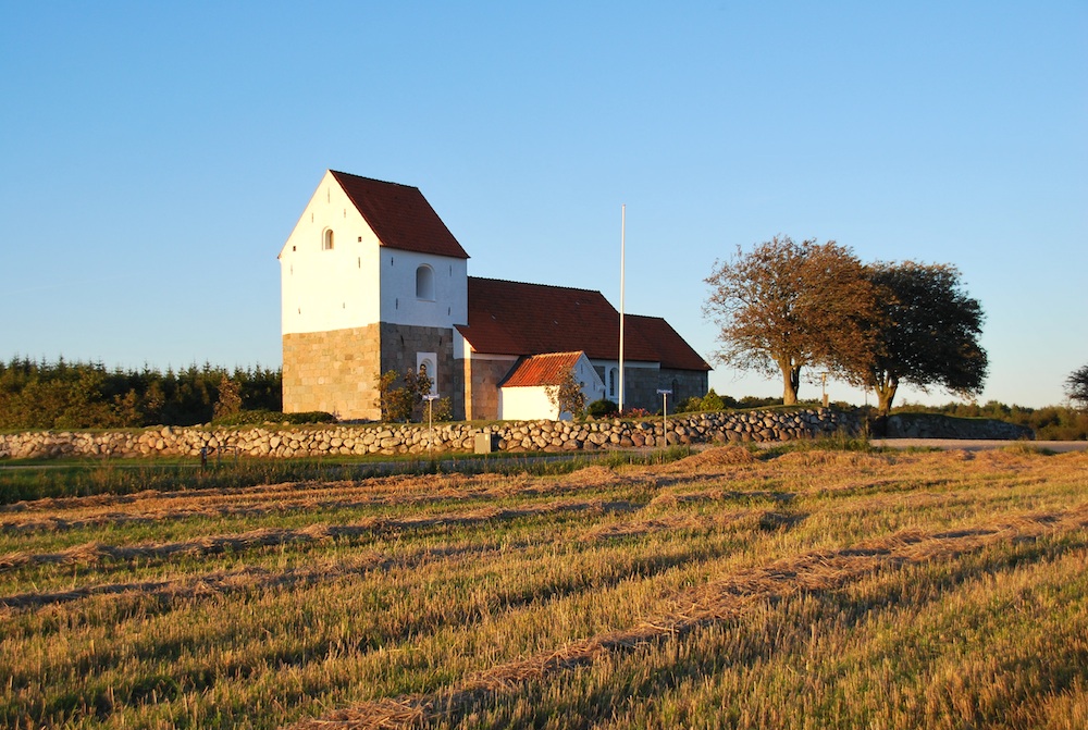 DSC 1037